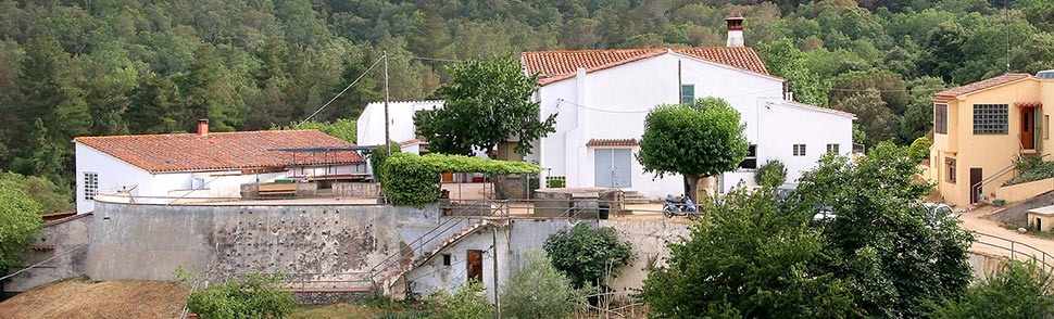 casa de colonies a Vallgorguina